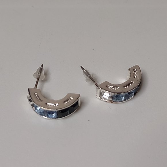 Multi Toned Blue Earrings - Picture 2 of 9